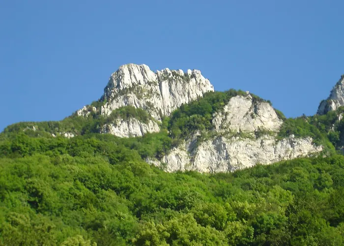 La Source Jacquet Depuis 1954 Et 3* Saint-Jean-de-Chevelu